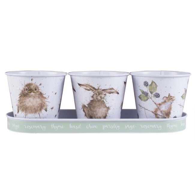 WRENDALE HERB POT SET 3