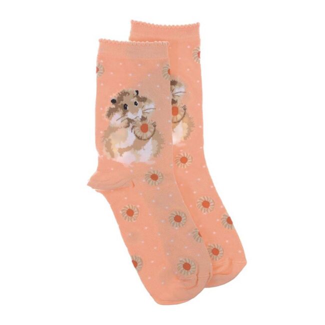 WRENDALE SOCKS HAMSTER DIET TOMORROW