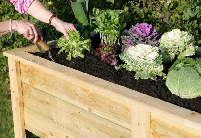 Zest Deep Root Planter 1.80m x 0.70m x 0.80m - Image 3