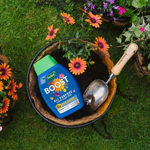 WESTLAND BOOST ALL PURPOSE FOOD