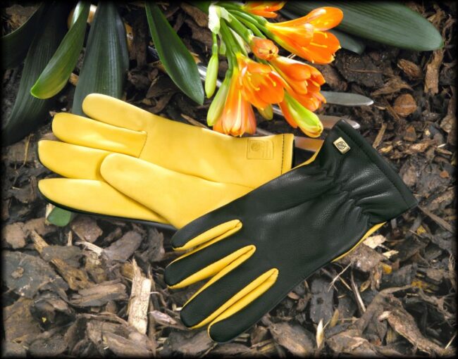 GOLD LEAF DRY TOUCH GLOVES MENS