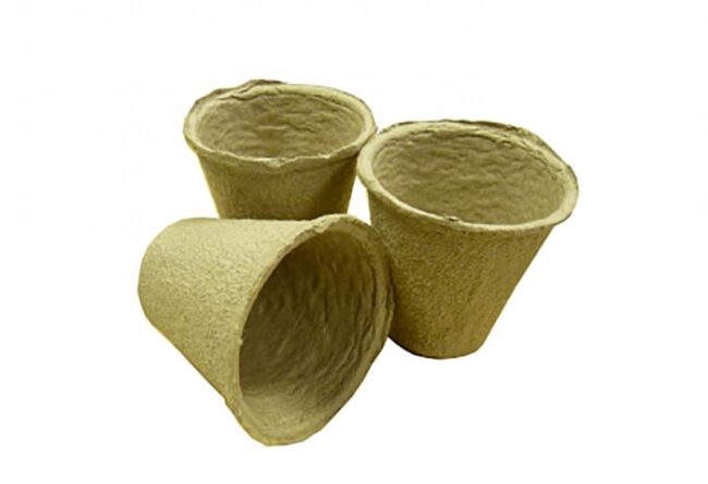 TILDENET PEAT POTS ROUND 6CM