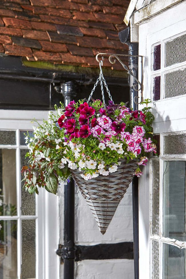 Smart Garden Pinto Faux Rattan Cone Planter