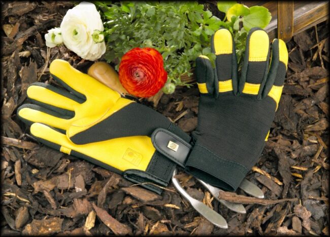 GOLD LEAF SOFT TOUCH GLOVES MEN