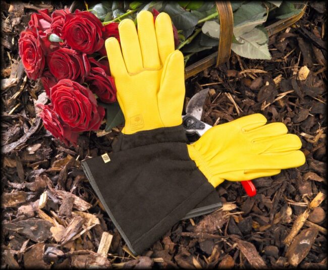 GOLD LEAF TOUGH TOUCH GLOVES MEN