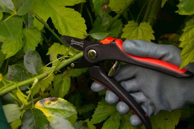 WILKINSON ANVIL PRUNER - Image 2