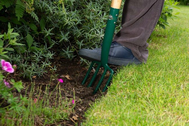 WILKINSON BORDER FORK CARBON STEEL