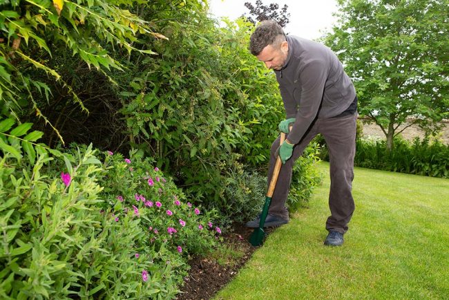 WILKINSON BORDER SPADE CARBON STEEL - Image 2