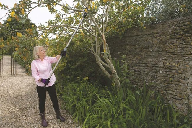 WILKINSON BRANCH & SHRUB CUTTER ULTRALIGHT - Image 2