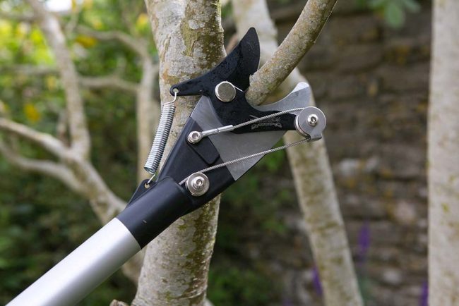 WILKINSON BRANCH & SHRUB CUTTER ULTRALIGHT - Image 3