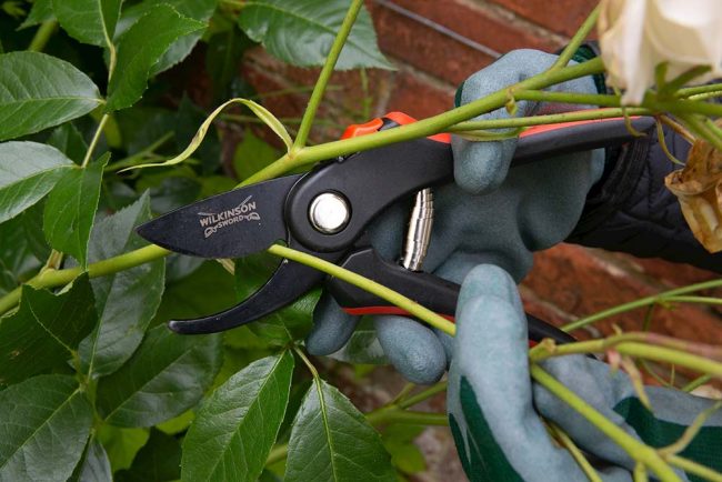 WILKINSON BYPASS PRUNER - Image 2