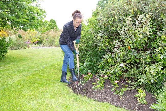 WILKINSON DIGGING FORK STAINLESS STEEL - Image 3