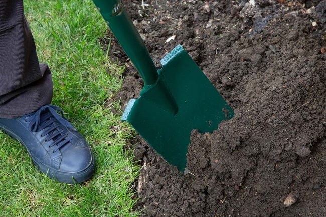 WILKINSON DIGGING SPADE CARBON STEEL