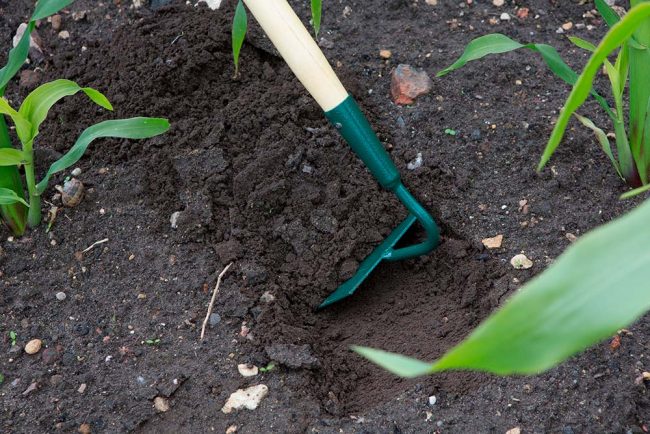 WILKINSON DRAW HOE CARBON STEEL