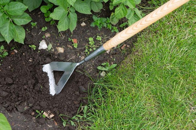 WILKINSON DUTCH HOE STAINLESS STEEL - Image 2