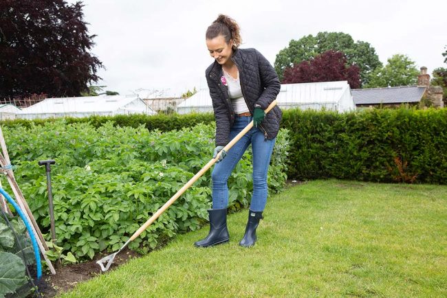 WILKINSON DUTCH HOE STAINLESS STEEL - Image 3