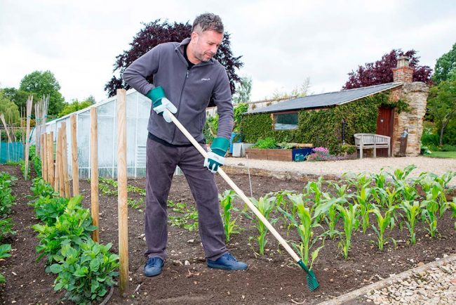 WILKINSON GARDEN RAKE CARBON STEEL - Image 2