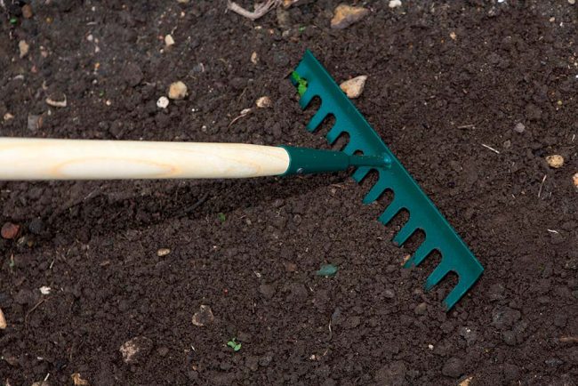 WILKINSON GARDEN RAKE CARBON STEEL - Image 3
