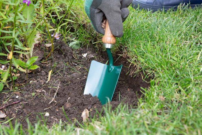 WILKINSON HAND TROWEL CARBON STEEL - Image 2