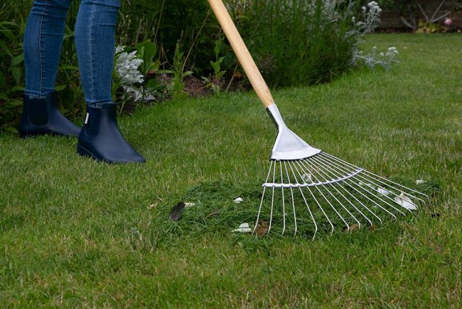 WILKINSON LAWN RAKE - Image 2