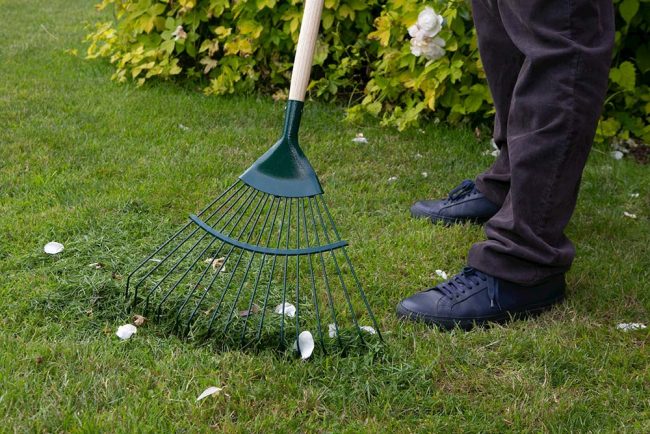 WILKINSON LAWN RAKE CARBON STEEL - Image 2