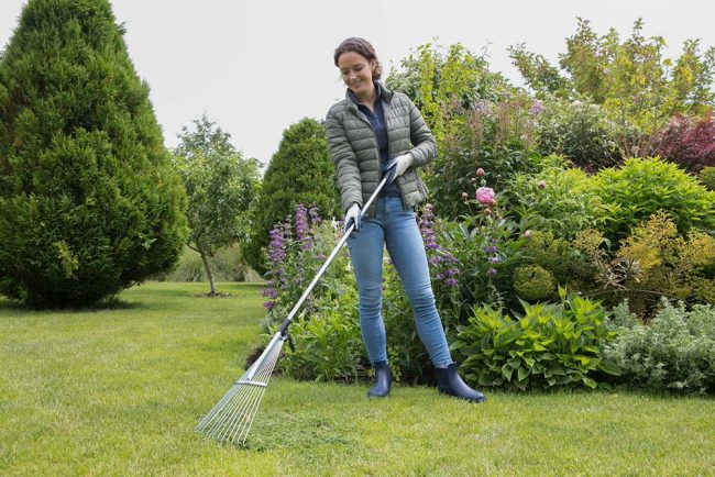 WILKINSON LAWN SPRINGTINE RAKE ADJUSTABLE - Image 2