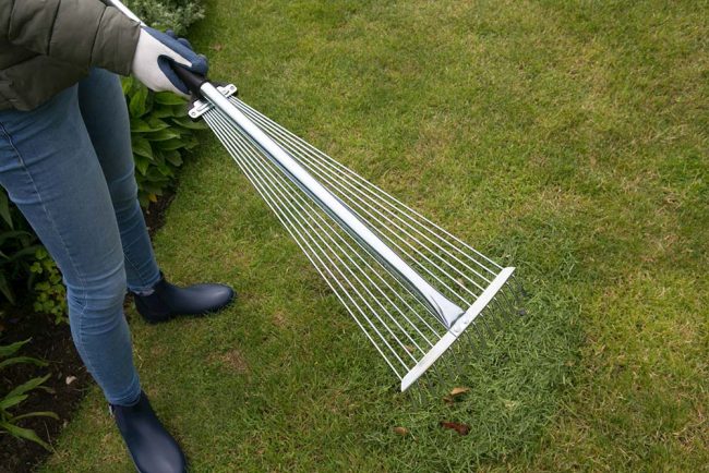 WILKINSON LAWN SPRINGTINE RAKE ADJUSTABLE - Image 3