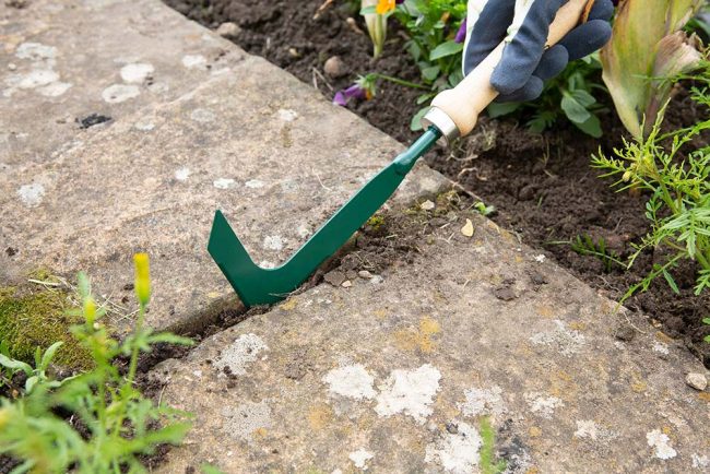 WILKINSON PATIO SCRAPER CARBON STEEL