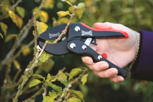 WILKINSON RACHET PRUNER - Image 2