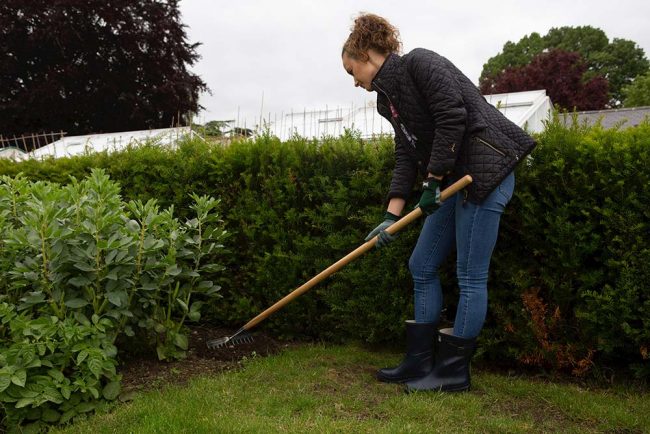 WILKINSON SOIL RAKE 12 TINE STAINLESS STEEL - Image 2