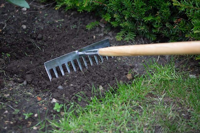 WILKINSON SOIL RAKE 12 TINE STAINLESS STEEL - Image 3
