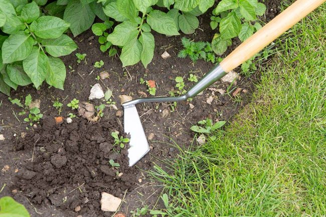 WILKINSON SWOE STYLE HOE S/STEEL - Image 2