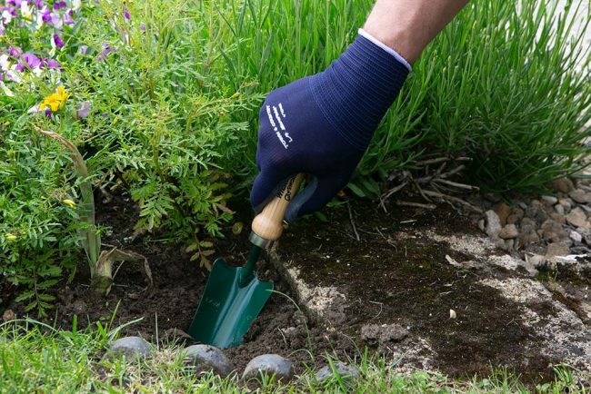 WILKINSON TRANSPLANTING TROWEL