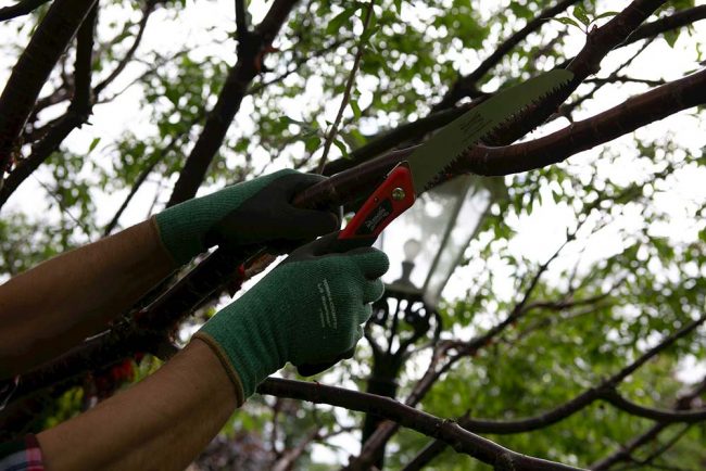 WILKINSON TURBO FOLDING SAW - Image 2