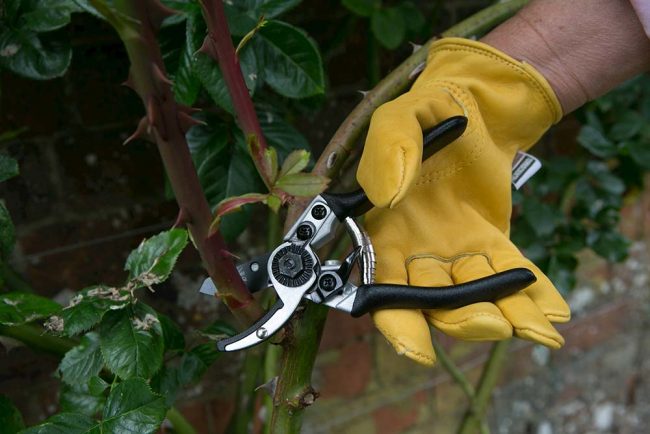 WILKINSON ULTRA LIGHT ANVIL PRUNER