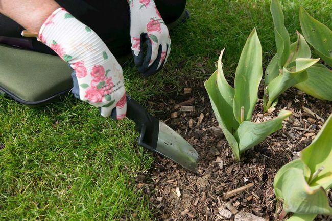 WILKINSON ULTRA LIGHT STAINLESS STEEL TROWEL