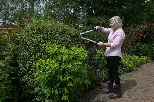 WILKINSON ULTRALIGHT HEDGE SHEAR - Image 2