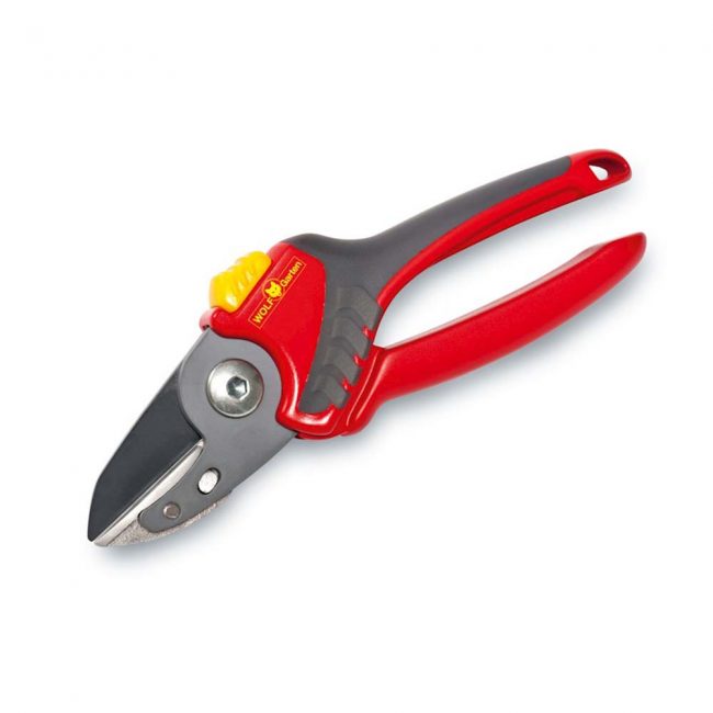 WOLF COMFORT PLUS ANVIL SECATEURS - Image 3