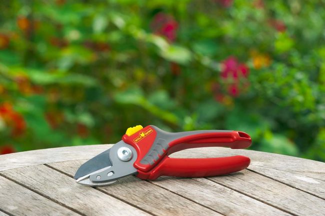 WOLF COMFORT PLUS ANVIL SECATEURS
