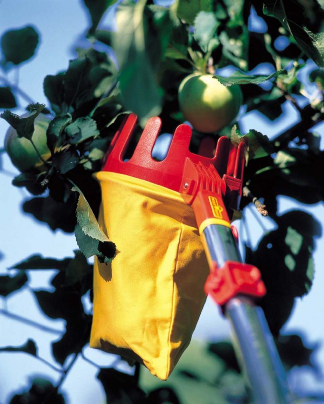 WOLF MULTI CHANGE ADJUSTABLE FRUIT PICKER - Image 2