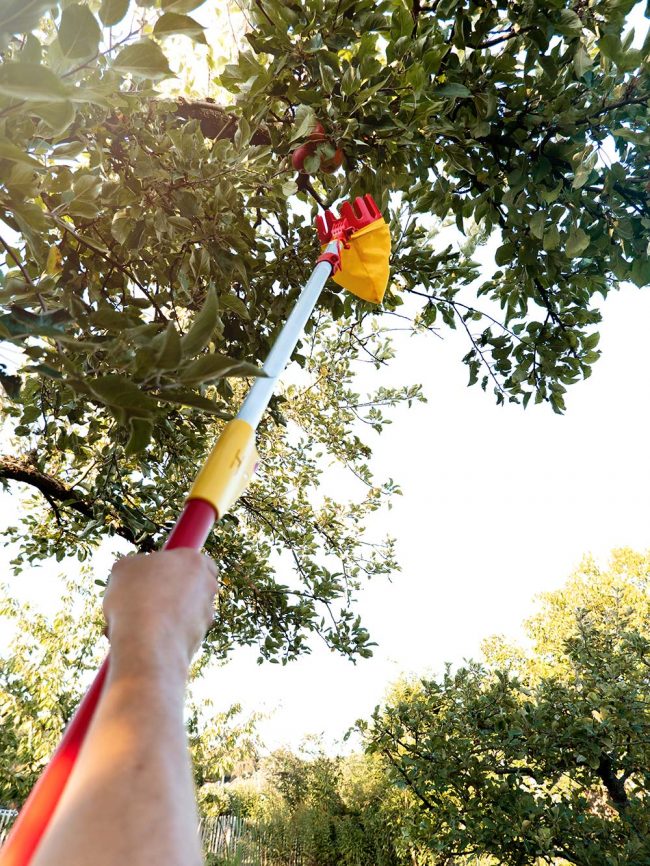 WOLF MULTI CHANGE ADJUSTABLE FRUIT PICKER - Image 4