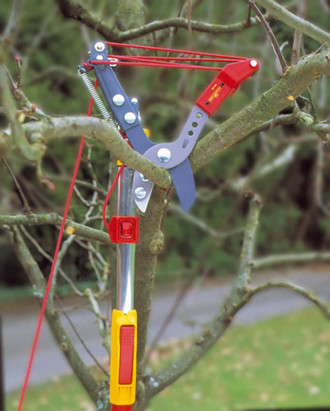 WOLF MULTI-CHANGE ANVIL TREE LOPPER - Image 2