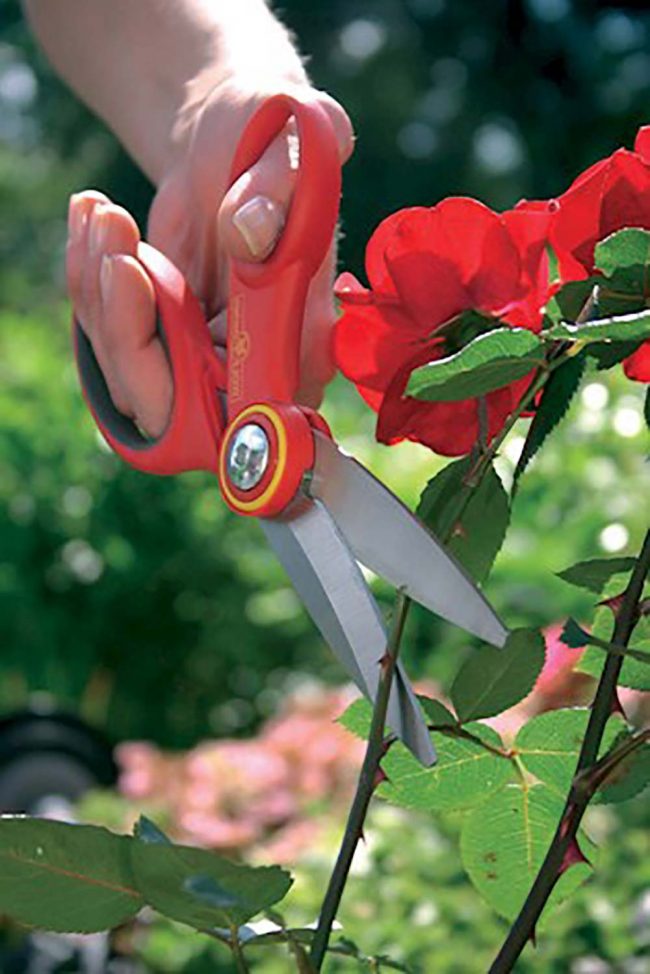 WOLF MULTI PURPOSE SCISSORS - Image 2