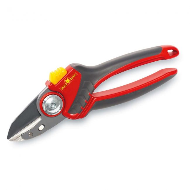 WOLF PREMIUM PLUS ANVIL SECATEURS