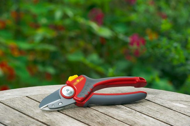 WOLF PREMIUM PLUS ANVIL SECATEURS - Image 2