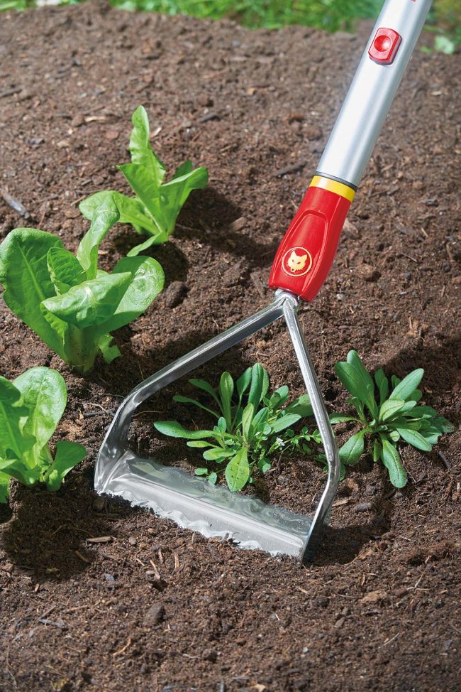 WOLF SMALL PUSH-PULL WEEDER - Image 2